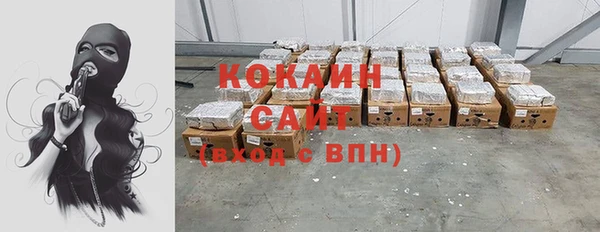 соль ск Кулебаки