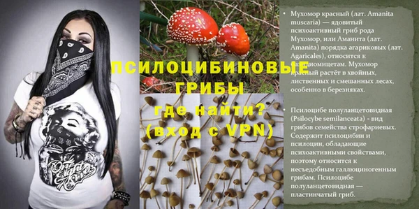 соль ск Кулебаки