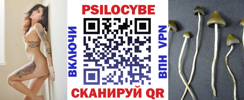 Купить закладки  Певек  Галлюциногенные грибы ЛСД 