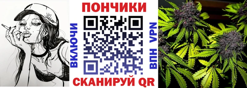Бошки марихуана Amnesia Певек